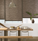 Roller Shades For Windows